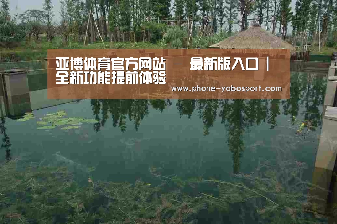 案例展示二