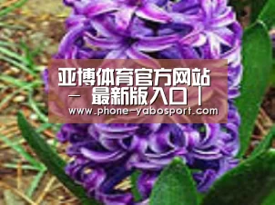 产品名称八