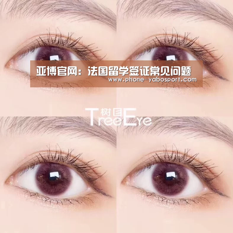 亚博官网:法国留学签证常见问题(图2) 亚博