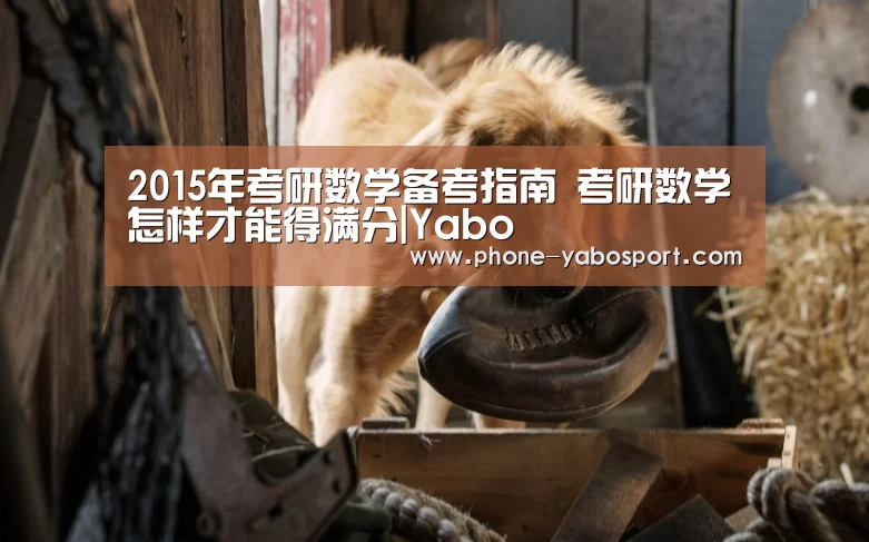 2015年考研数学备考指南 考研数学怎样才能得满分|Yabo(图2) 亚博